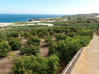 Propriété à Buenavista del Norte. Venta terreno buenavista