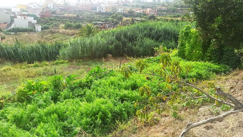 Foto b4638c72-7d50-4e82-80ef-7b2cc8716430. Terreny residencial a Los Realejos pueblo Realejos (Los)