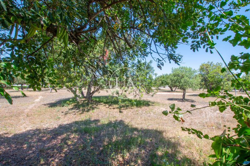 Foto 7deca653-9963-4589-b881-7d28b6f49781. Xalet amb xemeneia aparcament a Jardins de Vilafortuny - Mas d'en Bosch Cambrils