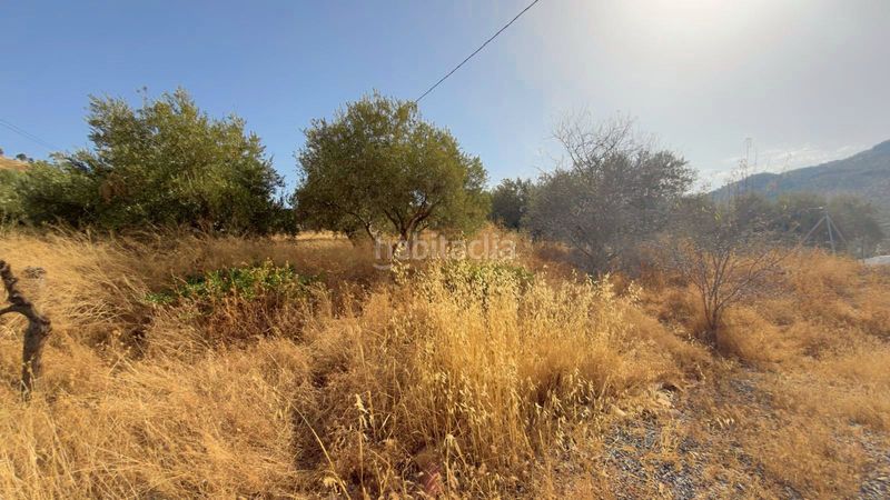 Foto 0ecd28e5-a072-4f30-b681-4f84e394a263. Casa en Alcaudete