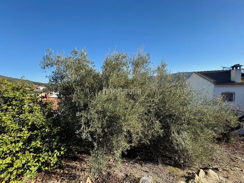 Foto ff1c849f-dd9f-4b42-9e02-d98473e47250. Masía en Iznájar