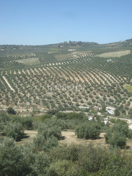 Foto 5d82ec5b-5dae-4887-acf2-643453cfa0ca. Masía en Iznájar