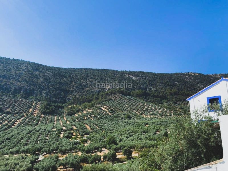 Foto 2e92ed8b-7078-47de-bd5b-ce021b1921da. Casa adossada a Rute