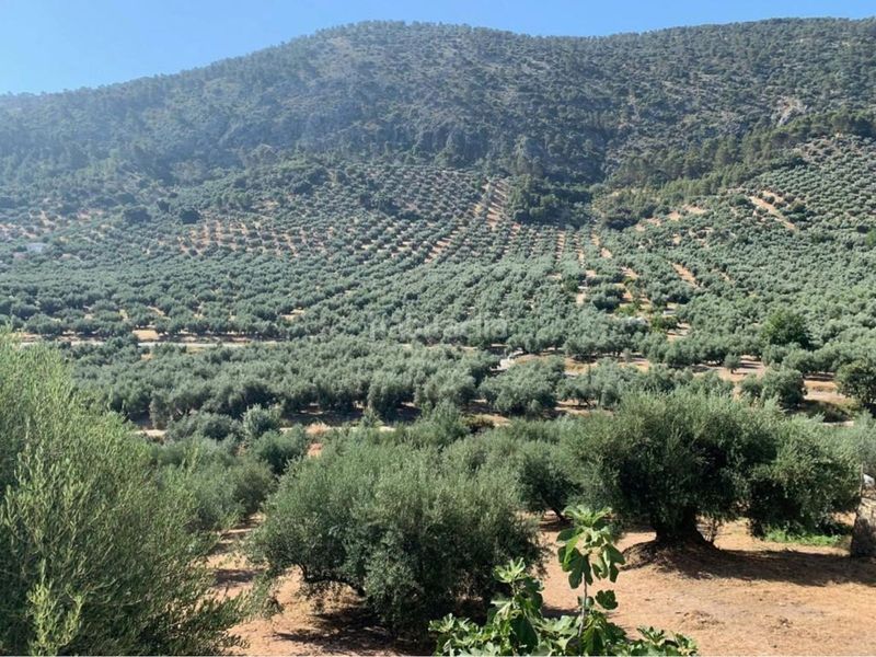 Foto 4468c653-00a2-4313-9bce-90103a98fb96. Casa adossada a Rute