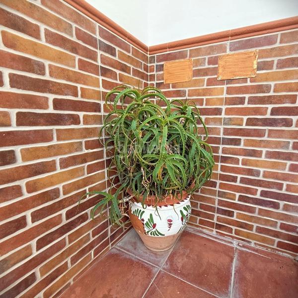 Foto 9661490c-bd37-436e-b5b7-de16a7786699. Casa adossada amb piscina a Almargen