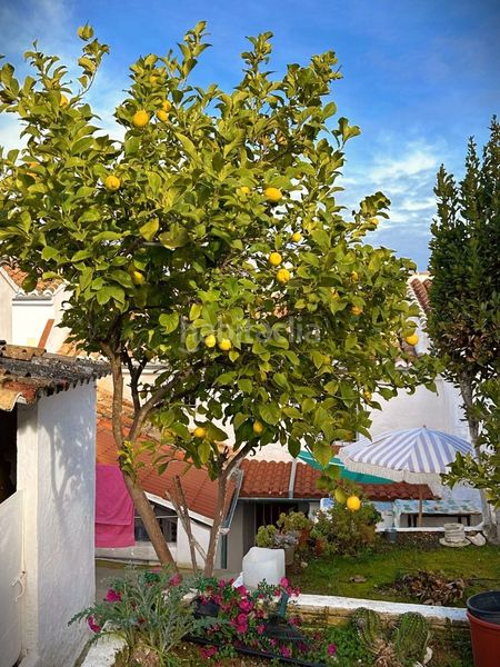 Foto 67712e63-7e70-4237-84cb-f973c405289e. Casa adossada a Archidona