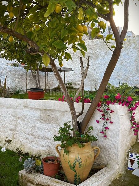 Foto d464990a-20b9-4a04-9f9b-2759731948ae. Casa adossada a Archidona