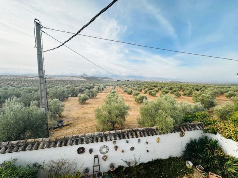 Foto 04026e36-3308-4288-bd4d-46bffa54abce. Masia amb aparcament a Centro Antequera