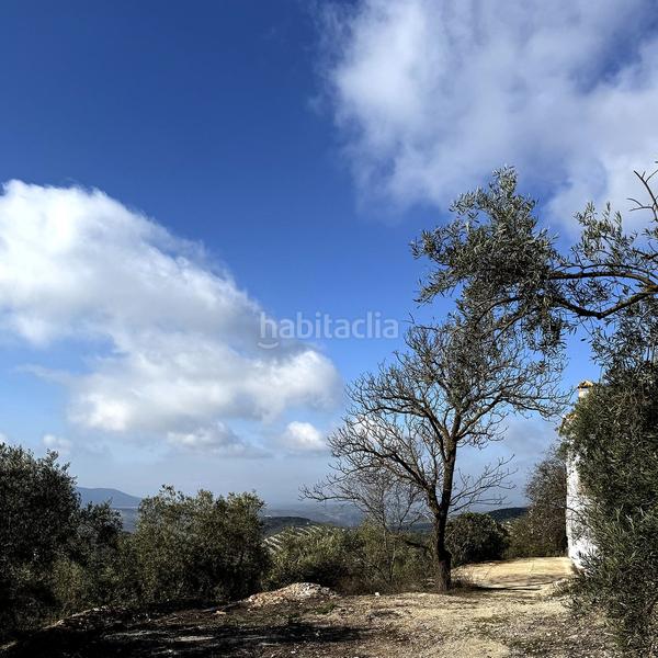 Foto 20df2ea1-98a2-47a8-8370-adc20aa7a5c8. Chalet en Villanueva de Algaidas