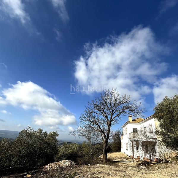 Foto 74500e47-8dba-41d0-a9ab-f1127570eade. Chalet en Villanueva de Algaidas