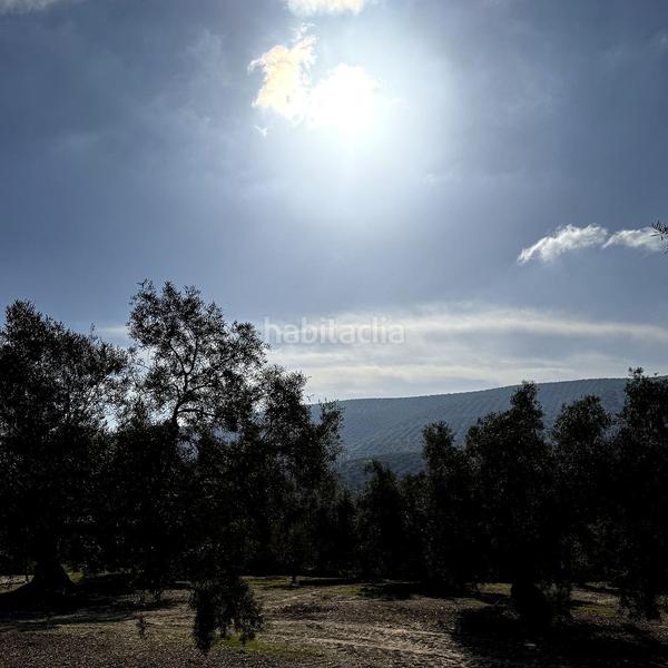 Foto a5ed0d83-dbbf-4395-8d46-3d1491732dcb. Chalet en Villanueva de Algaidas