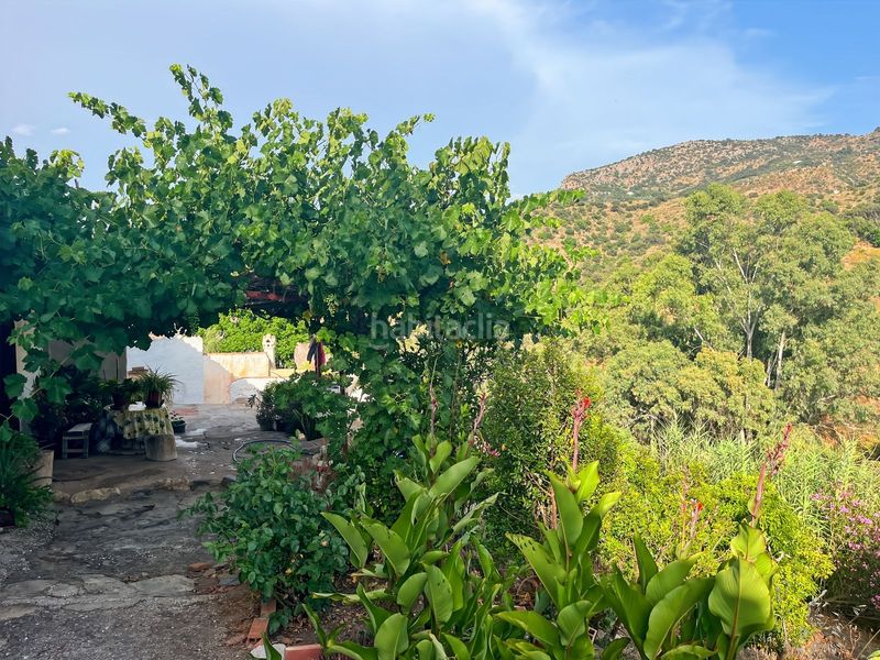 Foto ffa837d7-c487-4be3-867d-31b654a91a04. Masia a Comares