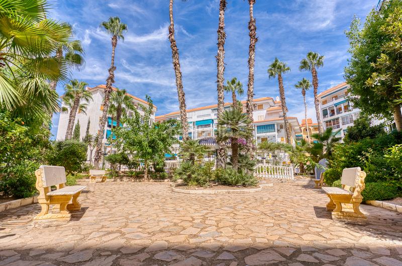 Foto d0d3ba4a-3b66-47e9-aca0-c84317d75b37. Attico con piscina in Cañada del Molino Torrevieja