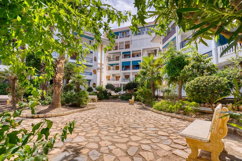 Foto de48f6bc-e478-426c-8281-52eee5e0c05d. Attico con piscina in Cañada del Molino Torrevieja