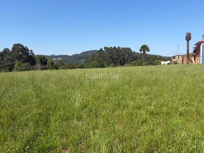 Foto 4d21a642-e7f6-43e3-9821-cedc18068d35. Terreny residencial a carretera riefa me 16 a Colunga