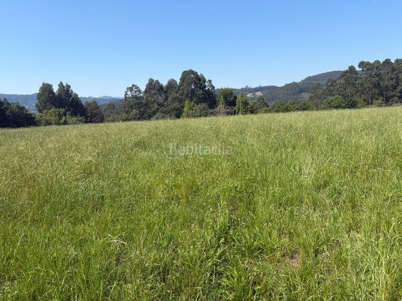 Foto eb9fd060-2c91-4aa1-ad4b-da2ca345fb63. Terreny residencial a carretera riefa me 16 a Colunga