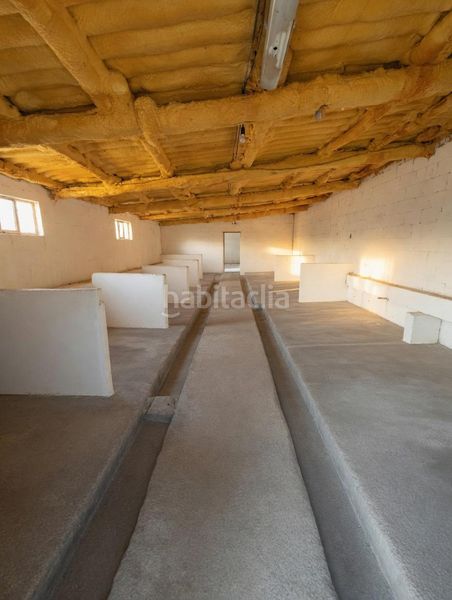 Foto 51b51406-3ea3-49d7-91ba-dbc30965302e. Finca rústica a Nava