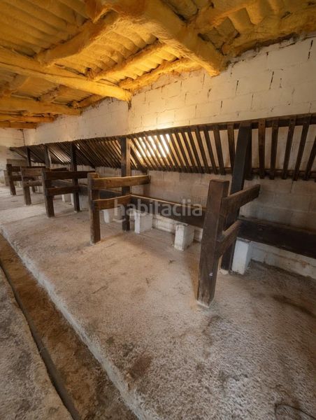 Foto 97d7a164-9c26-4752-a6d0-bc7e582779de. Finca rústica a Nava