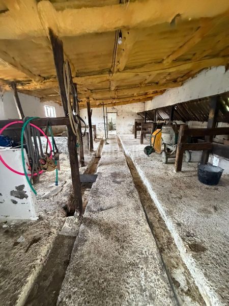 Foto 9f835107-ad66-412f-94f3-68031489c496. Finca rústica a Nava