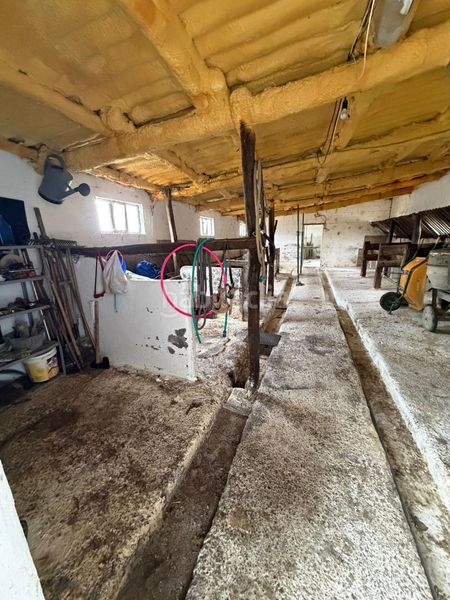 Foto e53f334f-dc64-4ad9-bd5c-1d5ddfb2b052. Finca rústica a Nava