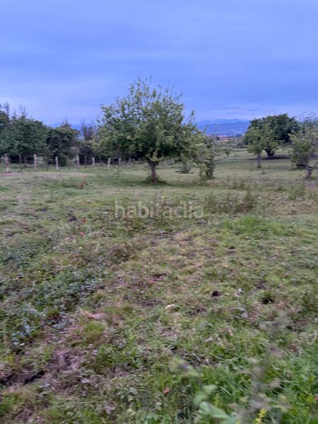 Foto 1986cd72-335b-4c46-a0ba-f5d8b26b5a99. Terreny residencial a Parroquias Norte Siero