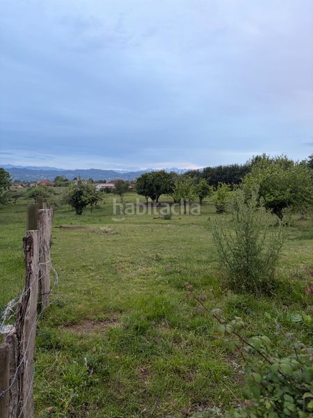 Foto 43d35548-c5ce-4814-8571-d2d22d045055. Terreny residencial a Parroquias Norte Siero