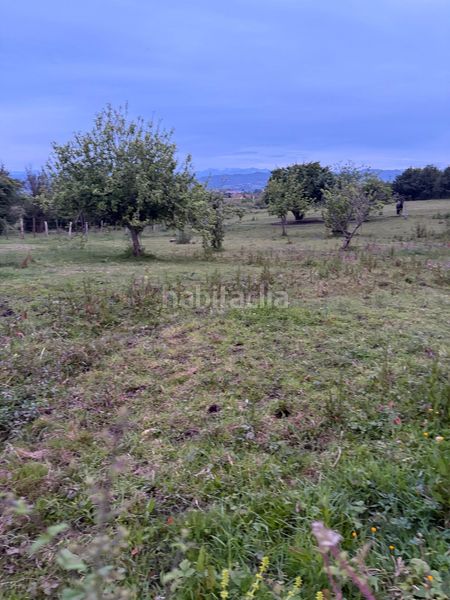 Foto 4f831e05-e772-4b51-b315-fef9430efc95. Terreny residencial a Parroquias Norte Siero