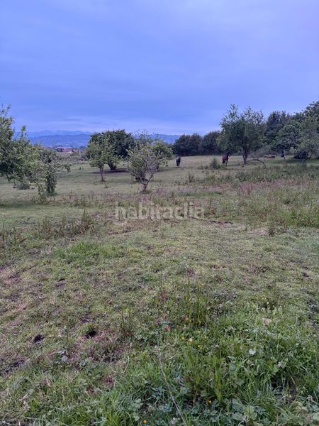 Foto b837b9de-c88f-4e31-84a2-4fe70fa54862. Terreny residencial a Parroquias Norte Siero