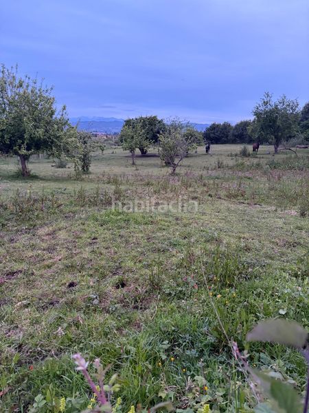 Foto bf95f9f6-f82a-48d2-8105-9c50c8d4b397. Terreny residencial a Parroquias Norte Siero
