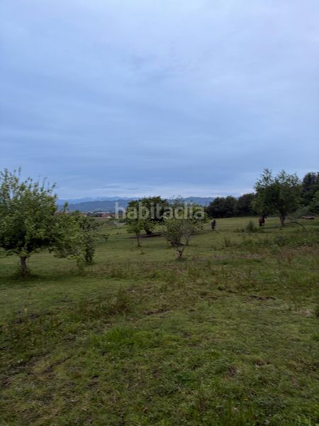 Foto f42bb8a0-b728-44f6-86f9-db23c9f3edad. Terreny residencial a Parroquias Norte Siero