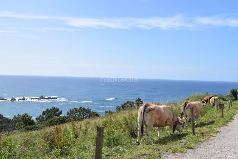 Foto 211e9942-18d8-4f84-8f8a-6fac9c1be0eb. Masia a Cudillero