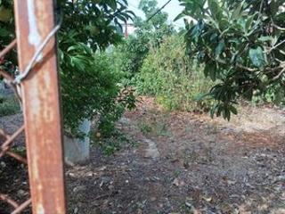 Terreny residencial en Calle higuera negra 1. Solar urbano en los hoyos, teror  318 m con todos los servicio