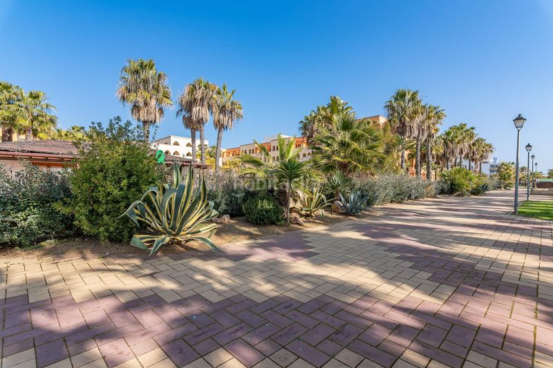Foto 4acceb5a-10bc-4083-b02d-b2bdc98ea8ef. Apartament a avenida avda. de la mojarra 12 a Punta del Moral Ayamonte