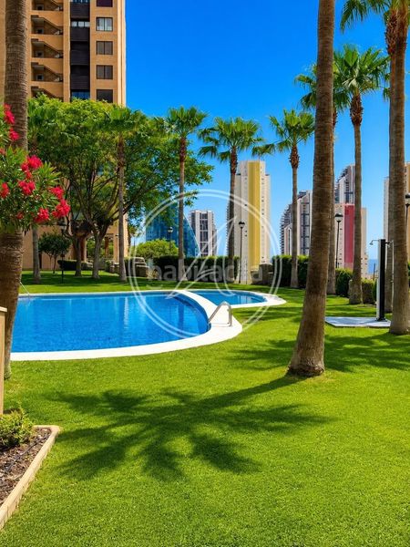 Foto bd364c5e-b71c-4aee-9bc3-be8e1eeaf156. Pis amb aparcament piscina a Via Parque Benidorm