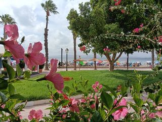 Chalet in Paseo de los narejos 59. Exclusiva vivienda en primera línea de playa – los narejos