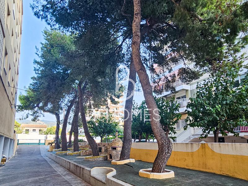 Foto 63255ec7-50ea-42da-b09c-747b4cce3a54. Apartament amb aparcament a Heliópolis Benicasim / Benicàssim