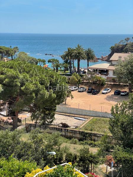 Foto 07a0a5a6-0775-4f62-9578-0db0b503169d. Piccolo appartamento in desconocido 220 in Rosamar Santa Cristina d´Aro