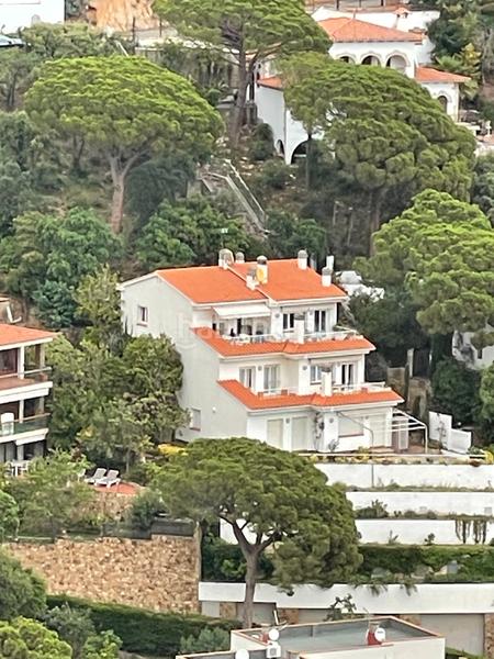 Foto 51b29cd3-7a73-4a6f-b047-f1300ef639a5. Piccolo appartamento in desconocido 220 in Rosamar Santa Cristina d´Aro