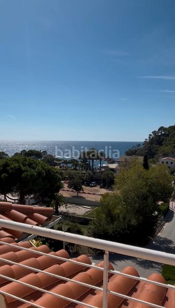 Foto e349f216-c143-421b-8829-3ab07507c4ea. Piccolo appartamento in desconocido 220 in Rosamar Santa Cristina d´Aro