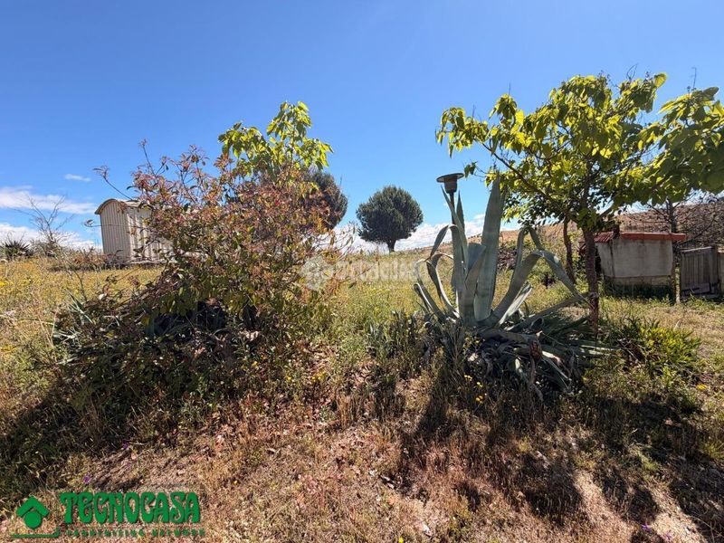 Foto 03872788-2181-453a-a0d4-7f2b2105db1a. Finca rústica a Torre de Esteban Hambrán (La)