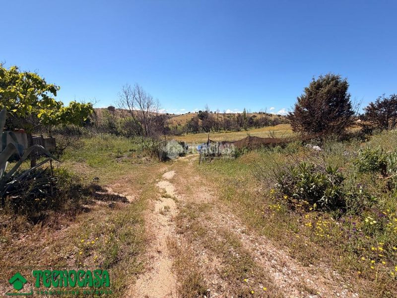 Foto 3d5b93ae-edd0-4888-b210-616a35c4c0dc. Finca rústica a Torre de Esteban Hambrán (La)