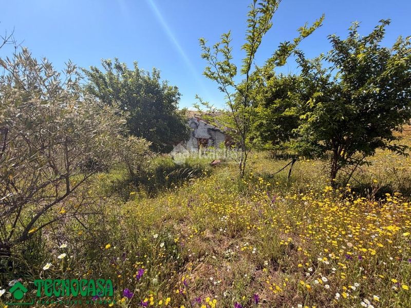 Foto 5827e419-1c6f-484c-b35a-74dea63507b3. Finca rústica a Torre de Esteban Hambrán (La)