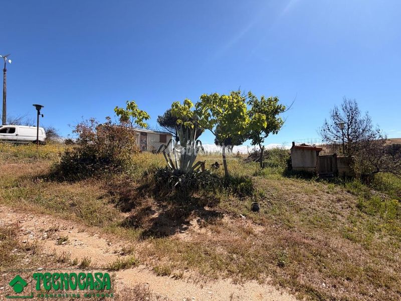 Foto 771be547-99c8-42dd-81f4-c8891bf6bf66. Finca rústica a Torre de Esteban Hambrán (La)