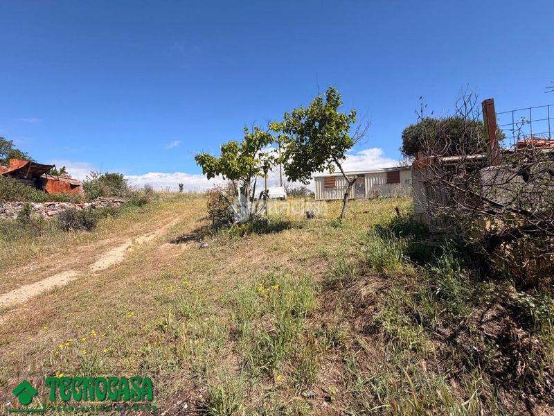 Foto 7ad5c574-b4c0-41ba-8c33-939a69faf65b. Finca rústica a Torre de Esteban Hambrán (La)