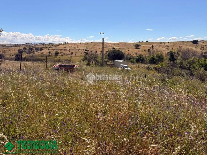 Foto a2db5807-5620-4584-91c0-ad4567005eb0. Finca rústica a Torre de Esteban Hambrán (La)