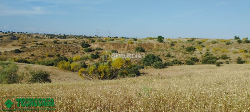 Foto 0c92b706-30f2-4d2a-9004-3b327a3bd8e6. Finca rústica a Méntrida