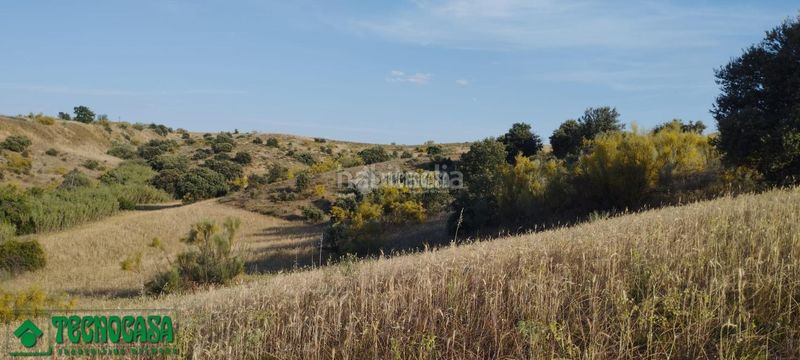 Foto 38345698-dcfa-4c6f-837a-c822f32559f6. Finca rústica a Méntrida