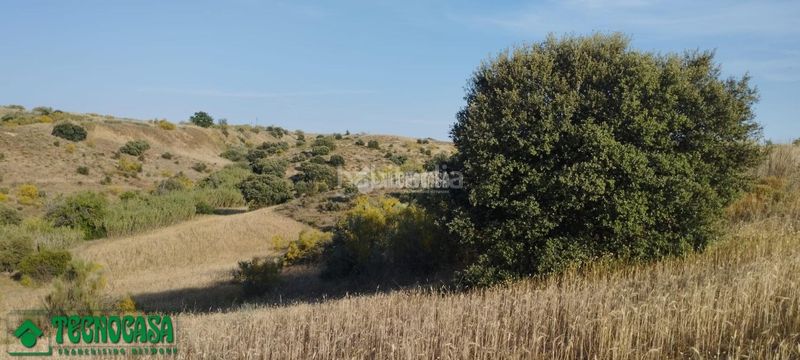 Foto 969395d5-0b77-4485-93dd-62831fe76a31. Finca rústica a Méntrida