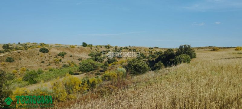 Foto d72ff1b0-0037-4c14-a96a-4c2614dbc83a. Finca rústica a Méntrida