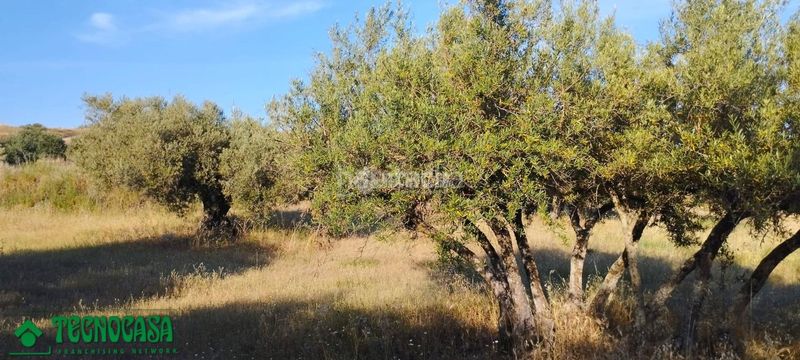 Foto 074fa8e3-b2b0-4024-91d5-c3822e3b018c. Finca rústica a Méntrida